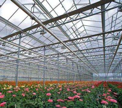 Cina Glass greenhouse vegetable and flower planting can be used out of season in vendita