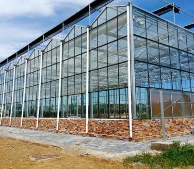 Cina 4mm patterned Glass for Greenhouse  with Competitive Price in vendita