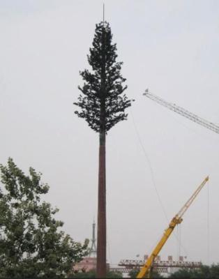 Chine Tours de palmier, tours de cellules déguisées en tant que fausse tour de cellules d'arbre d'arbres à vendre