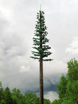 China Cell Phone Tower Palm Tree Outdoor 30 -100 m Communication 3 M ~ 7 M for sale