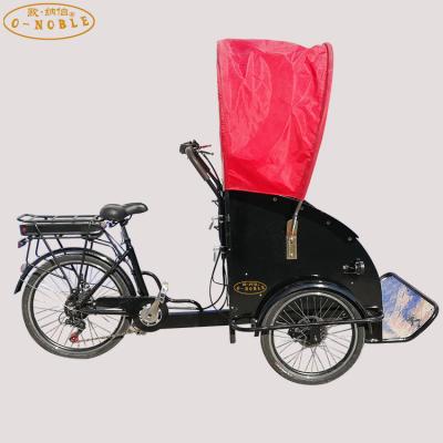 China Take the kids to the street new designed cargo tricycle family use cargo electric bike aluminum frame for sale