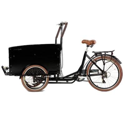 China Electric Tricycle 3 Wheel Electric Cargo Bike Baby Cargo Bike for sale