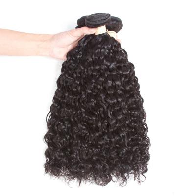 China Hot Sale 11A Water Wave Hair Bundles Very Cheap No Tangle No Shedding Soft And Smooth Color100% Natural Brazilian Hair 10