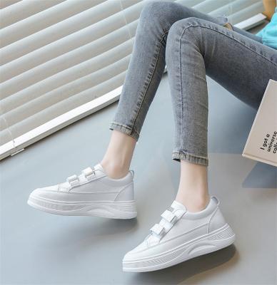 China Cushioning Women's Shoes 2022 New Fashion Style Breathable Spring To Shape Sports White Casual Shoes Korean Style White Shoes For Women for sale