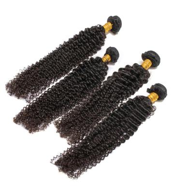 China Kinky Curly Indian Hair Bundles With Frontal Hair Bundles With Closure Virgin Hair Betty Hair for sale