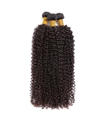 China Cuticle Aligned Betty Kinky Curly Hair Bundles Peruvian Hair Wigs Bundles Kinky Curly Hair Wigs for sale