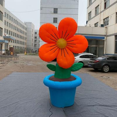 China Promotion DAMING flower pot garden props color inflatable flower balloon inflatable products for sale for sale