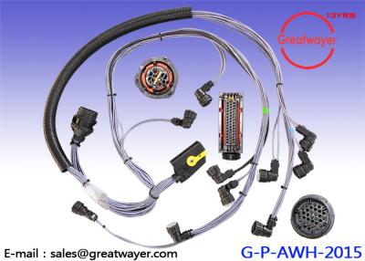 China ISO ECU 46 Pin wiring harness trailer / Loom Engine of Heavy Truck SCANIA for sale