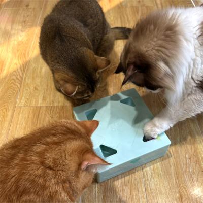 China Wonderful Indoor Training Pet Toy Feather Stored Interactive Teasing Magic Box Creative Magic Box Teasing Cat Toys for sale