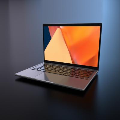 China High Resolution Notebooks Available Gemini Lake N4000 N4020 Computadoras 2.5K 2560*1600 IPS Intel LCD Screen 16:10 SDK Business Laptop 13.3