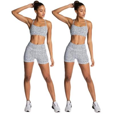 China 2022 Wholesale Anti-UV Sportswear Workout Set Women Clothing Active Use Two Piece Bra + Shorts Women's Gym Fitness Set for sale