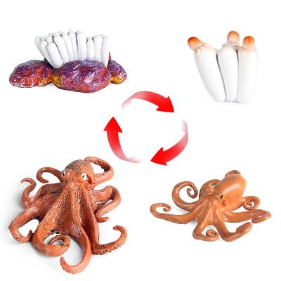 China Toy Oenux Wholesale Octopus Growth Cycle Action Number Collection Octopus PVC Action Number Solid PVC Animals Toys Simulation Marine Life Model for sale