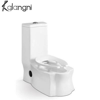 China Double-Flow Sanitary Ware Dual-Use Modern Squat Pan Wc Toilet for sale