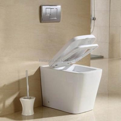 China Concealed Hung Wc Porcelain Wash Bidet Single-Piece Ceramic Toilet Cistern Lavatory P-trap Double-flow Bidet for sale