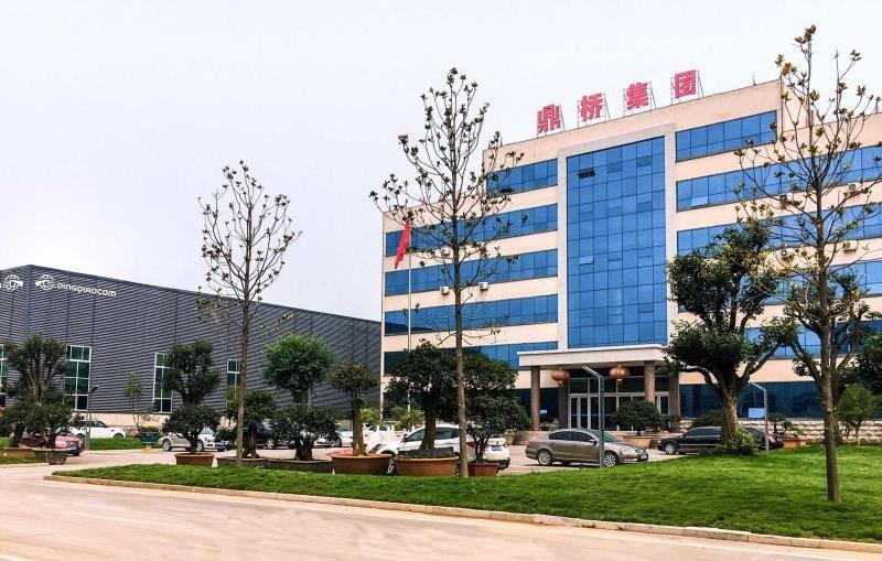 Verified China supplier - Linyi Dingqiao Import And Export Co., Ltd.