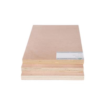 China 1200mmx2400mm Modern Plywood Sheet Building Construction Plywood for sale