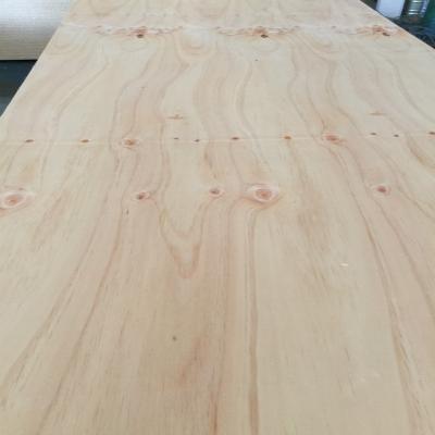 China China Indoor 4' x8 Good Quality Pine Core CDX Plywood for sale