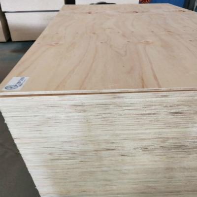 China Indoor Cheap Price Chili Laminated CDX Plywood For Basement Structural Decking for sale