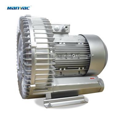 China High Efficient LD Series Three Phase Electric Regenerative Blower Fan for Glass Industry for sale