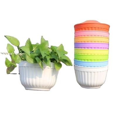 China Minimalist Wall Mounted Flower Pots Colored Large Plastic Flower Resin Hanging Green Plant Succulent Pots for sale