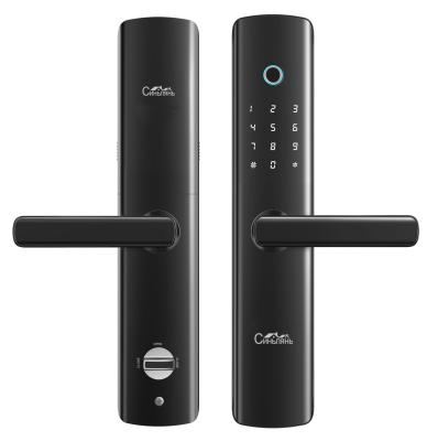 China Cheap smart doors lock with fingerprint and password for sale