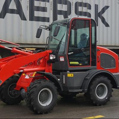 China 1.0t small mini loader loader for sale china loader max dump height 2100 for sale
