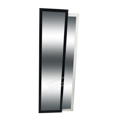 China North America Style Modern Factory Wholesale PS Volume Framed Integral Mirror 30x120cm 40x110cm 40x150cm 50x170cm Plastic Behind The Door Mirror for sale