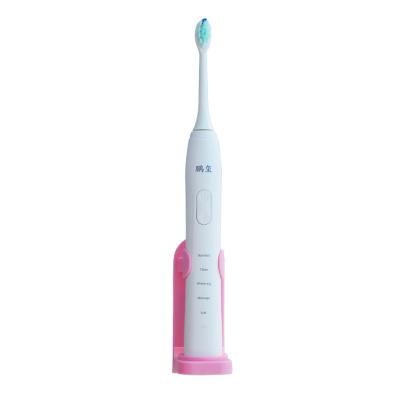 China Personalized Usb Waterproof Sonic Electric Toothbrush Rechargeable China Private Label Smart Ultrasonic Electronic Travel Adult Battery Operated for sale