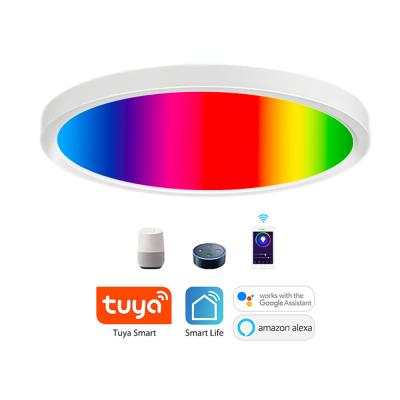 China Modern 26W RGB smart wifi control LED wireless ceiling lamp 3 years warranty round shape ceiling light led ceiling lamp for sale