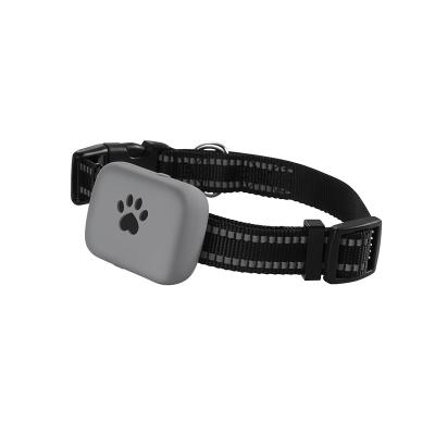 China Pet Tracking Waterpoof Pet Gps Tracker With Pet Collar For Tracking On App With Two Way Communication Anti Lost Gps Tracking Devices A21P for sale