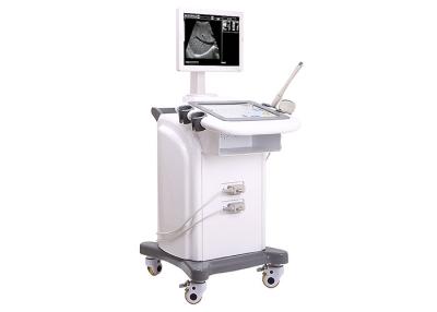 China Trolley Ultrasound Scanner 236 Frames , Digital Ultrasound Machine With Video Printer for sale