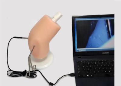 China Silica Gel CPR Manikins Knee Arthroscopy Simulator With 7mm Camera / USB Connector for sale