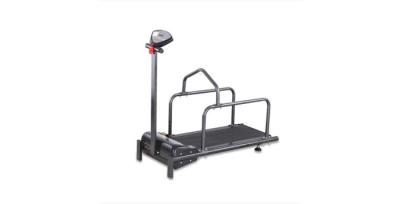 China Rehabilitation Training Dog Training Treadmill For Small Pet Animals for sale