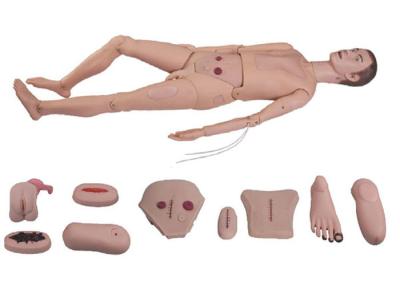 China Combination Medical Training Manikins Model For Nursing Skills Training for sale