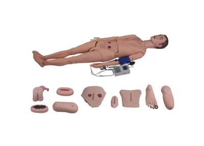 China Full Functional Human Body Anatomy Model With Blood Pressure Simulator for sale