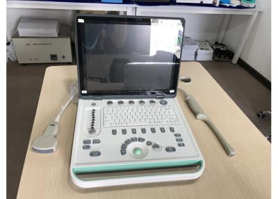 China Portable Black And White Ultrasound Machine , Ultrasonic black White Imaging System for sale