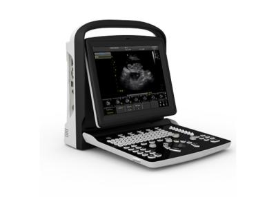 China High End B & W Ultrasound Veterinary Monitoring Equipment For Vet for sale