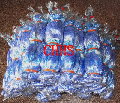 China Nylon Monofilament PA6 Double Knotted Nets China Fishing Store for sale