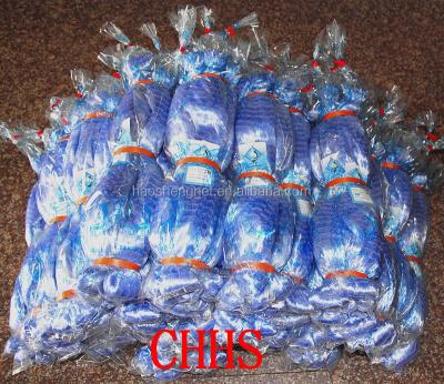 China High Strength Monofilament Monofilament Fishing Net, Chaohu Factory for sale