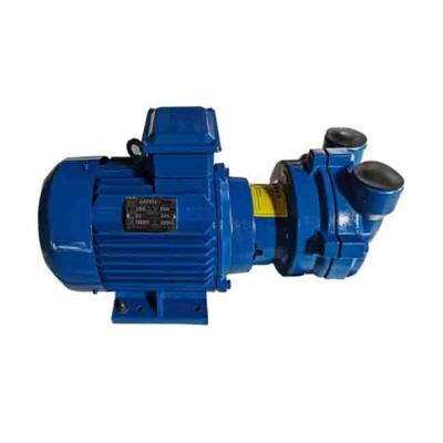 China 2BV2071 Food And Beverage Industry Series Water Ring Vacuum Pump And Compressors for sale