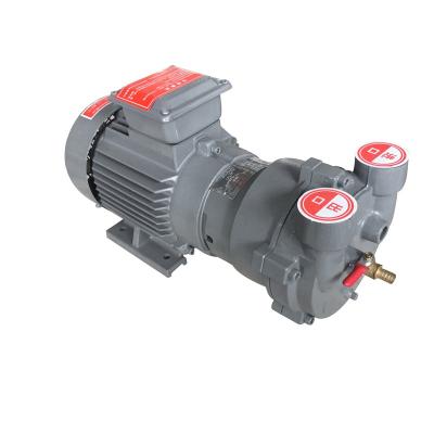 China Compressor 2BV2060 0.5 Hp Vacuum Pumps for sale