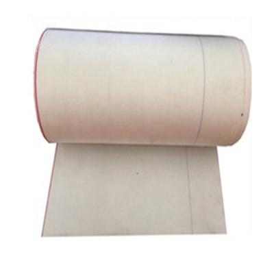 China Liquild Filter PE/PP Vacuum Belt Filter Cloth Filter Cloth for sale