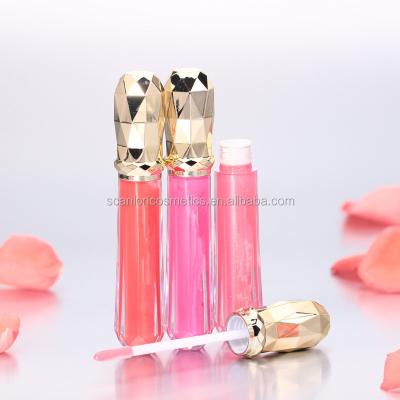 China Factory waterproof makeup make your own lip gloss with fashion color lipstick for sale