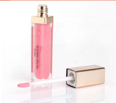 China 2021 Hot Sale High Quality Durable Waterproof Lip Gloss for sale