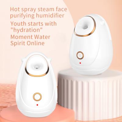 China Pigmentation Correctors Face Convenient Custom Adjustable Ionic Vanity Body Nano Thermal Nebulizer Moisturizing Skin Care Facial Steamer for sale