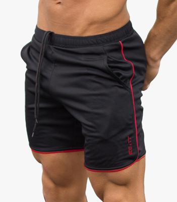 China Windproof Fitness Sports Shorts Casual Running Training Slim Quick Dry Breathable Beach Pants Mens Shorts for sale