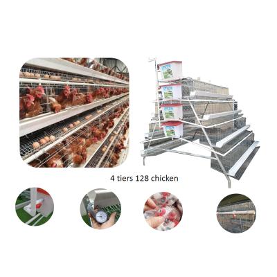 China Chicken Farms Factory Supply One Type 3 Tier 96/128 Bird Laying Hen Egg Layer Battery Chicken Cage for sale