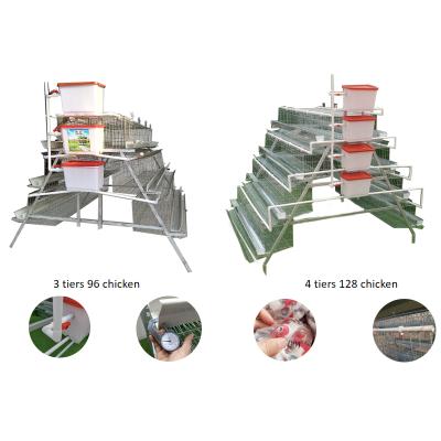 China Cheap Chicken Farms Algeria Multi-rows Design Chicken Farm Poultry Farm Layers Cage On Hot Sale for sale