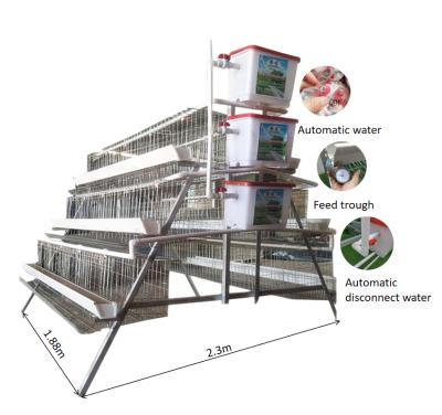 China Automatic Chicken Farms Hot Sale A Type 96 Special Chicken Cages Layer Poultry For Farm Equipment for sale