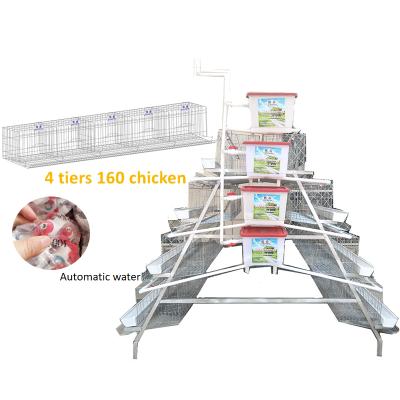 China Automatic Chicken Farms 4 Tiers Africa 160 Layers Cage Poultry Farm for sale